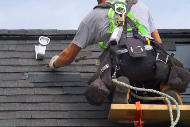 Best Roof Leak Repair  in Bull Valley, IL