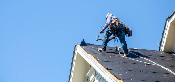 Best Flat Roof Repair Services  in Bull Valley, IL